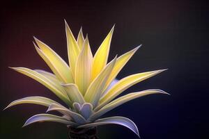 Vibrant plant with striking yellow-green leaves. photo