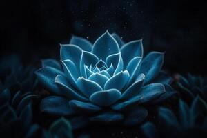 A glowing blue succulent in a dark environment. photo
