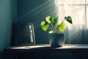 A vibrant plant in a serene indoor setting. photo