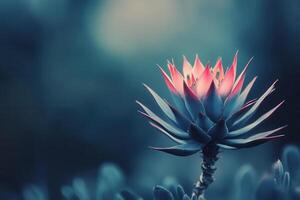 A vibrant succulent flower against a soft, blurred background. photo