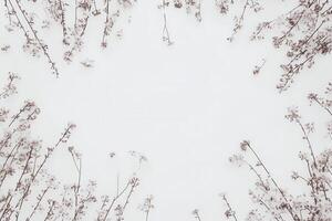 Delicate floral arrangement on a white background. photo
