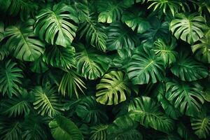 Lush green leaves creating a vibrant natural backdrop. photo