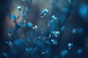 Delicate blue flowers in a serene, soft-focus background. photo