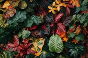 A vibrant array of colorful foliage and leaves. photo
