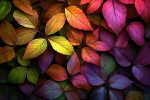 Vibrant autumn leaves in various colors and shapes. photo