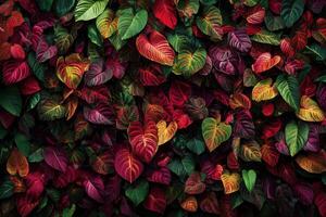 Vibrant foliage with rich colors and textures. photo
