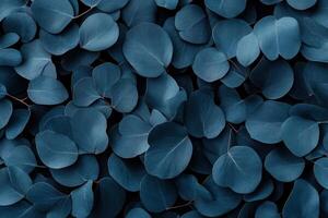 A close-up of dark blue leaves creating a textured pattern. photo