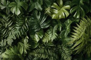 A variety of lush green leaves and ferns arranged together. photo