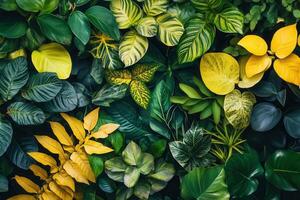 A vibrant arrangement of various green and yellow leaves. photo