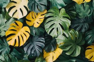 A vibrant arrangement of tropical leaves in green and yellow. photo