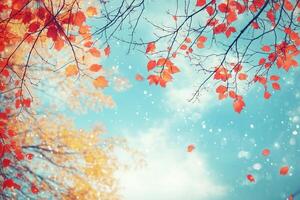 Autumn leaves against a bright blue sky. photo
