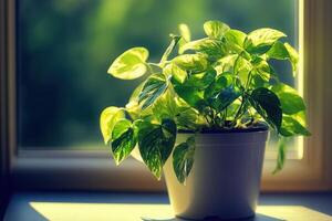 A vibrant green plant in a white pot by a window. photo