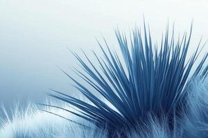 Abstract blue plant composition with spiky textures. photo