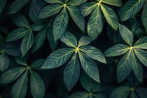 Close-up of lush green leaves with intricate patterns. photo