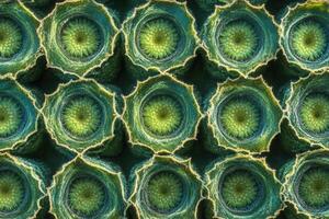 Close-up of intricate plant structures showcasing nature's design. photo