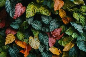 Colorful leaves creating a vibrant, natural backdrop. photo
