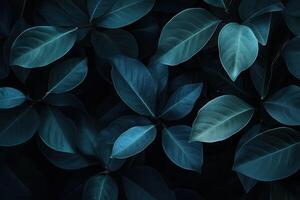 Dark green leaves create a serene, natural backdrop. photo