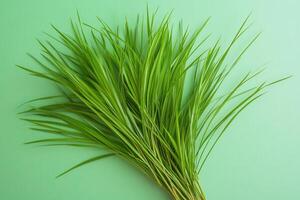 Fresh green grass arranged on a light background. photo