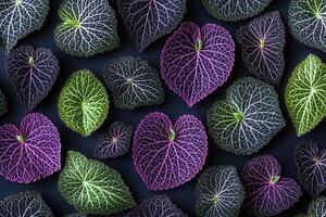 Colorful leaves with intricate vein patterns. photo