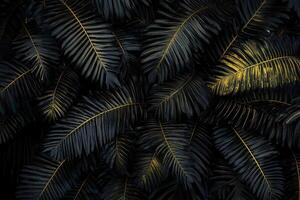 Dark tropical leaves with golden accents. photo