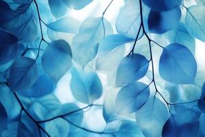 Delicate blue leaves creating a serene atmosphere. photo
