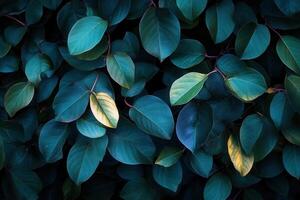 Lush green leaves with a single yellow highlight. photo