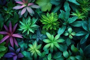 Lush array of vibrant green and purple foliage. photo