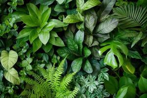 Lush green foliage creating a vibrant natural backdrop. photo