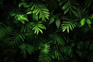 Lush green foliage creating a serene natural backdrop. photo