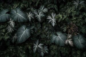 Lush green foliage with intricate leaf patterns. photo