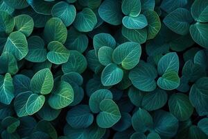 Lush green leaves creating a serene natural pattern. photo