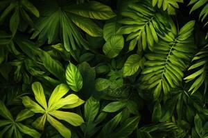 Lush green leaves creating a vibrant natural backdrop. photo