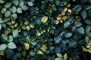 Lush green leaves creating a vibrant, natural pattern. photo