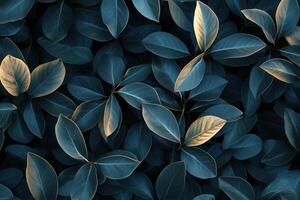 Lush green leaves with a dark background. photo