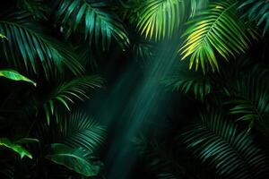 Lush green foliage with sunlight filtering through. photo