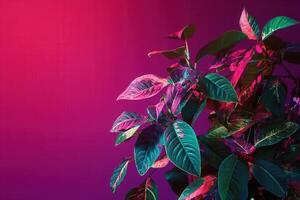 Vibrant plant against a colorful background. photo