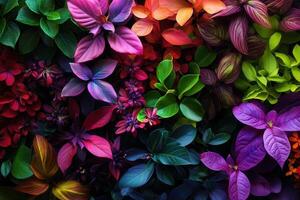 Vibrant assortment of colorful foliage and plants. photo