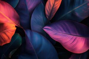 Vibrant leaves with rich colors and textures. photo
