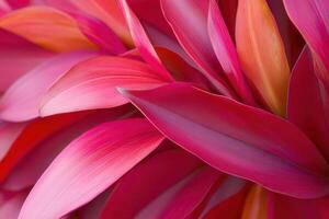 Vibrant pink leaves overlapping in a natural pattern. photo