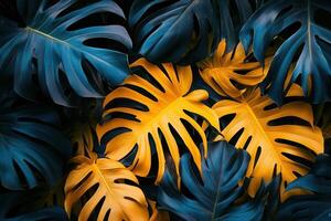 Vibrant tropical leaves in contrasting colors. photo