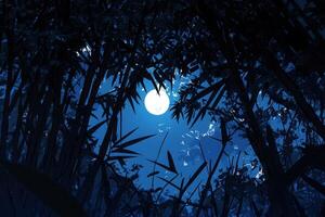 Moonlit bamboo grove under a starry night sky. photo