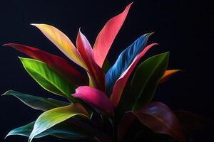 Vibrant leaves showcasing rich colors and textures. photo