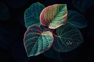 Vibrant leaves with intricate vein patterns. photo