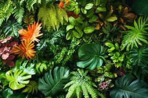 Lush greenery featuring various plants and foliage. photo