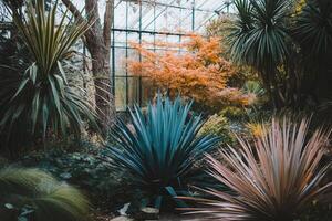 Lush greenhouse with diverse tropical plants and trees. photo