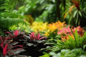 Lush tropical garden with vibrant foliage and flowers. photo