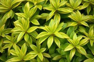 lozano verde plantas con vibrante amarillo acentos foto