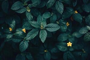 Lush green leaves with small yellow flowers. photo