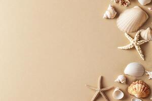 Various shells and starfish on a beige background photo