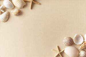 Shells and starfish on a beige background photo